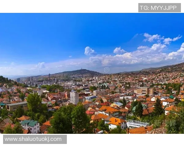 意大利与波斯尼亚和黑塞哥维那的精彩对决分析与赛前展望 意大利与波斯尼亚和黑塞哥维那的精彩对决分析与赛前展望