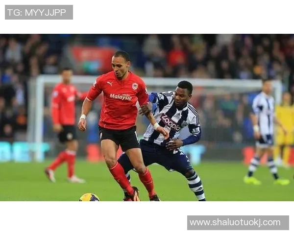 卡迪夫城与谢周三比赛前瞻及比分预测分析详解 卡迪夫城与谢周三比赛前瞻及比分预测分析详解