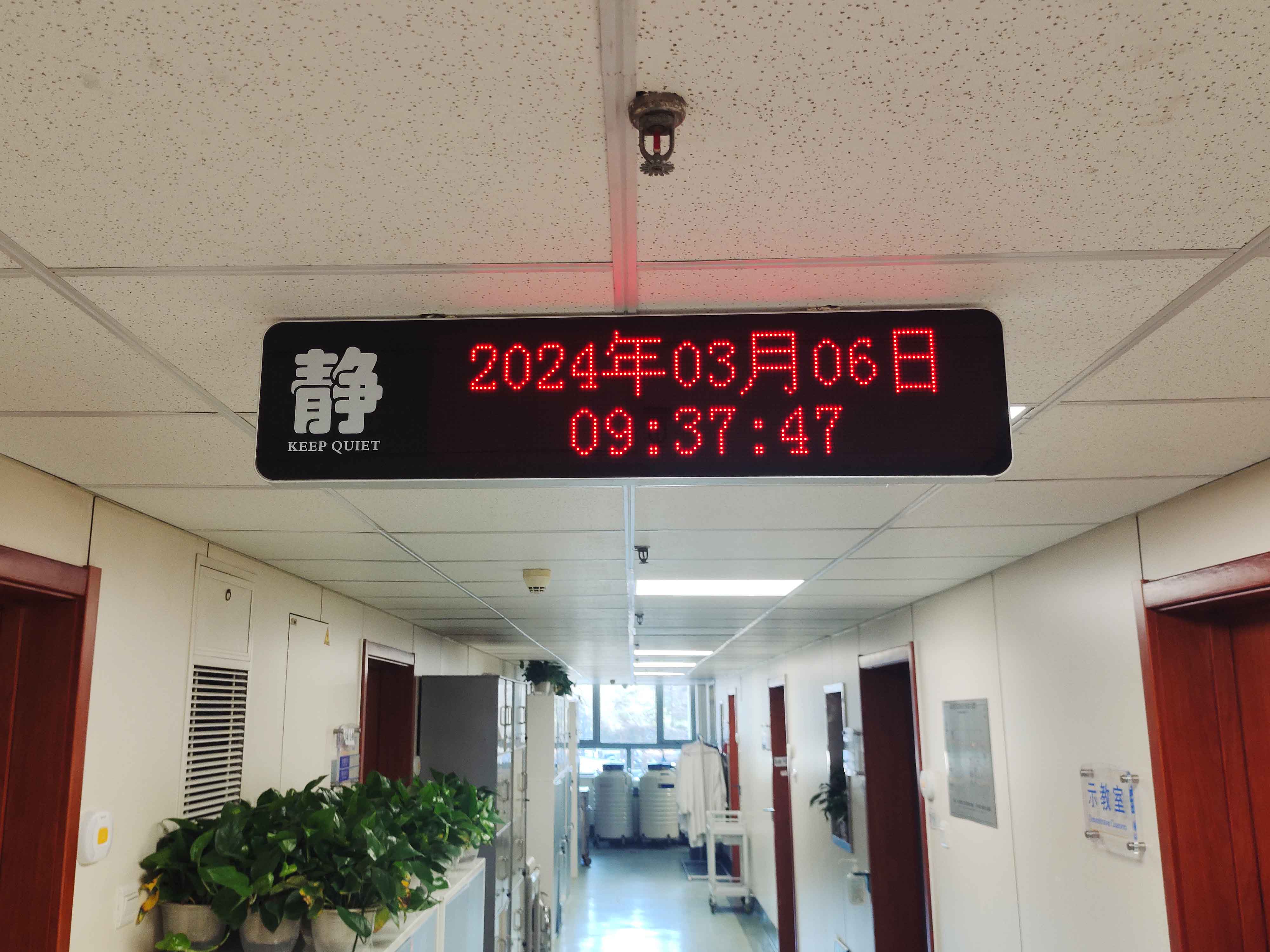 68340971_1785551748 68340971_1785551748.jpg